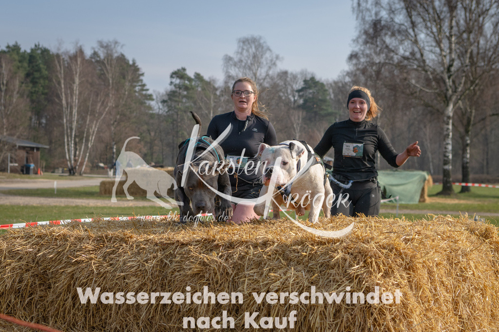 _ZZ90806 | kk-dogfotos