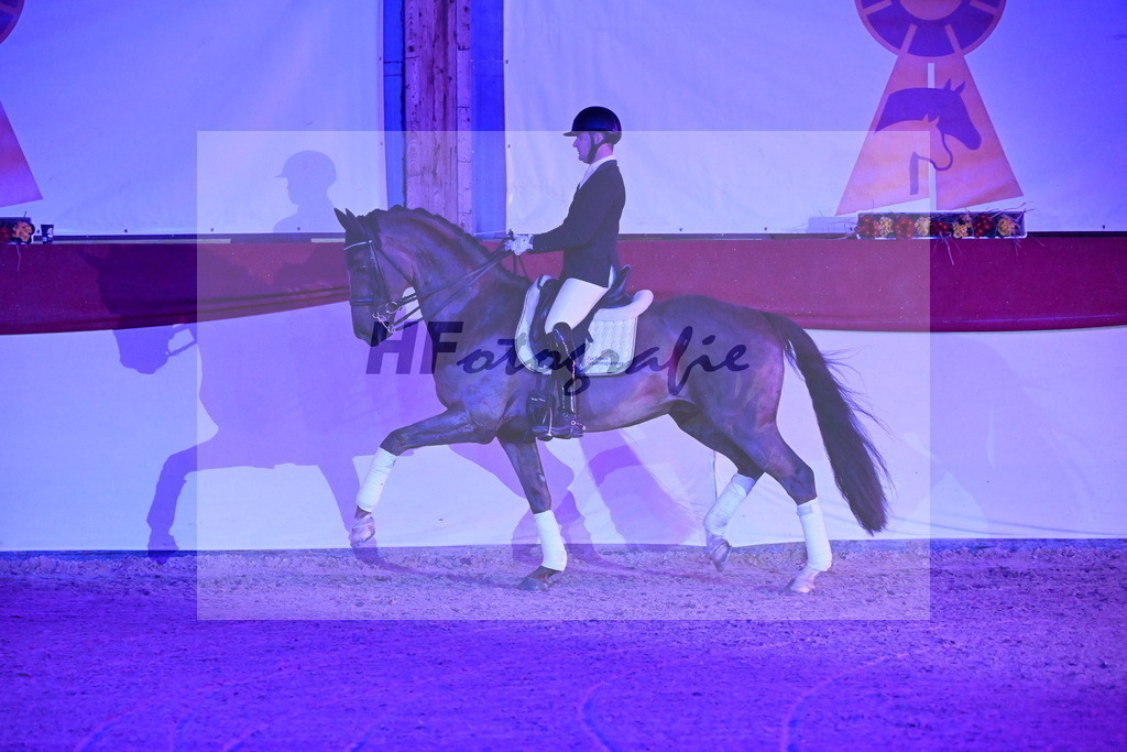 Feliciano_Wadenspanner_3262025 | hf-fotografie - Realisiert mit Pictrs.com