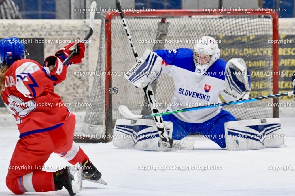 BST_5664 | hockey sports photos, Pressefotos, Sportfotos, hockey247, win 2day icehockeyleague, Handball Austria, Floorball Austria, ÖVV, Kärntner Eishockeyverband, KEHV, KFV, Kärntner Fussballverband, Österreichischer Volleyballverband, Alps Hockey League, ÖFB, 