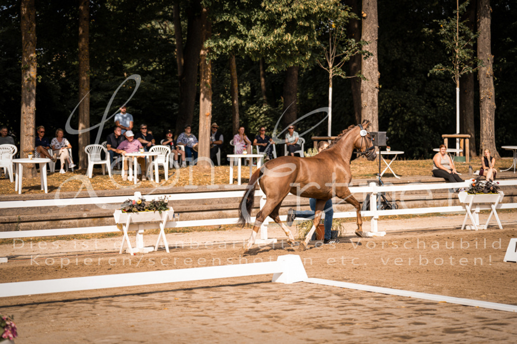 FrER00127 | Leoni Ertmer Photography - Realisiert mit Pictrs.com