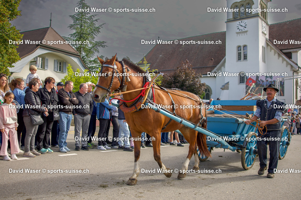 Cort_ge de LA BENICHON _ tradition _ ECUVILLENS LE 14 SEPTEMBRE 2025 www.sports-suisse.ch (7) | Cortège de LA BENICHON &amp; tradition à ECUVILLENS LE 14 SEPTEMBRE 2025 www.sports-suisse.ch