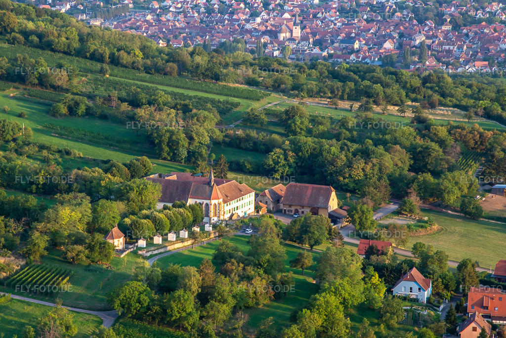 Luftbild: Couvent du Bischenberg in Bischoffsheim im Bundesland Bas-Rhin in Frankreich. – Foto: IMG_137976.jpg vom 19.08.2023 durch Werner Riehm/FLY-FOTO.de – Auflösung des Originals: 4555 x 3037 px – Diocèse de Strasbourg