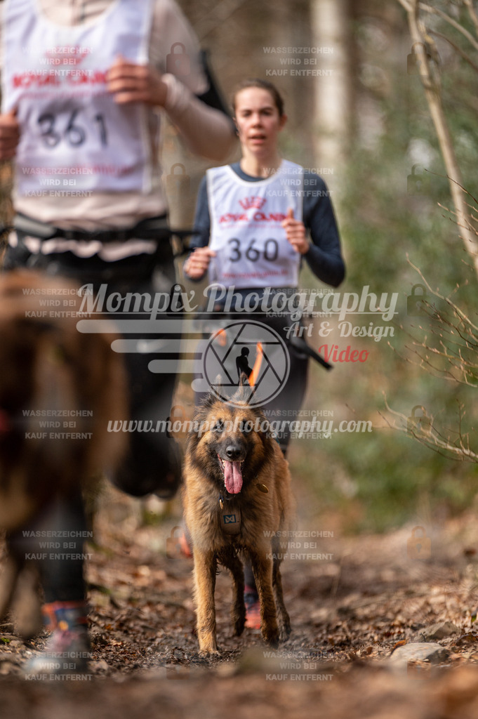 SPA_2023_DIM_CCK-217 | PayLife