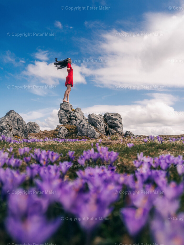 Velika Planina10 | piet_flosse