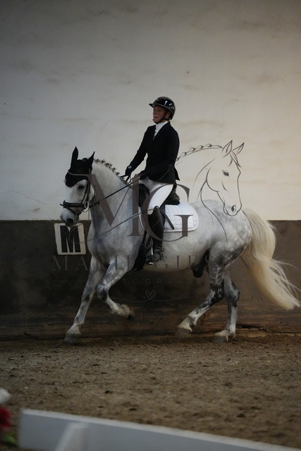 DSC05405 | Pferdefotografie in Köln und Umgebung – emotionale Pferdeshootings, Turnierfotografie und besondere Momente zwischen Pferd und Mensch. - Realisiert mit Pictrs.com