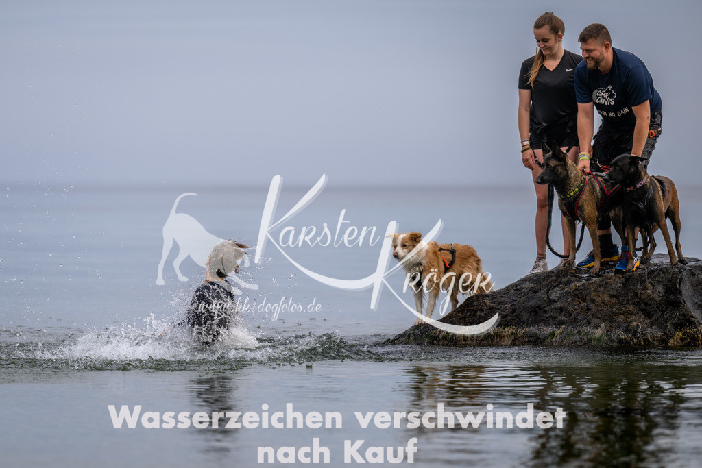 1223_ZZ91400 | kk-dogfotos