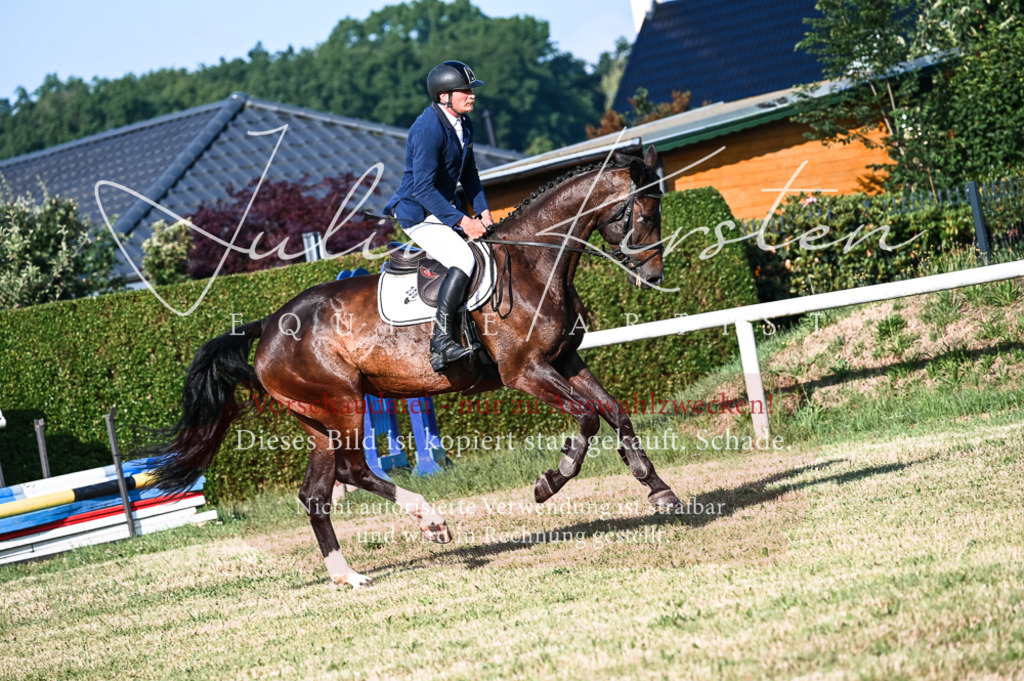 DSC_7437 | Pferde- und Turnierfotografie in Westsachsen. Pferdeportraits, Auftragszeichnungen und intuitive Kunst.