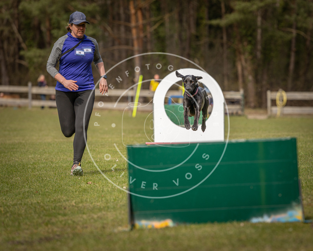 Pfotenfotografie_DV3A8548 | Hundefotografie, Tierfotograf, Pfotenfotografie, Fotoshooting Hund, Hunde Portrait, Hundesport, Hundeportraits, Heideshooting, Hunde, Sportfotograf, Hundefotograf, Turnierhundsport, THS,  - Realisiert mit Pictrs.com