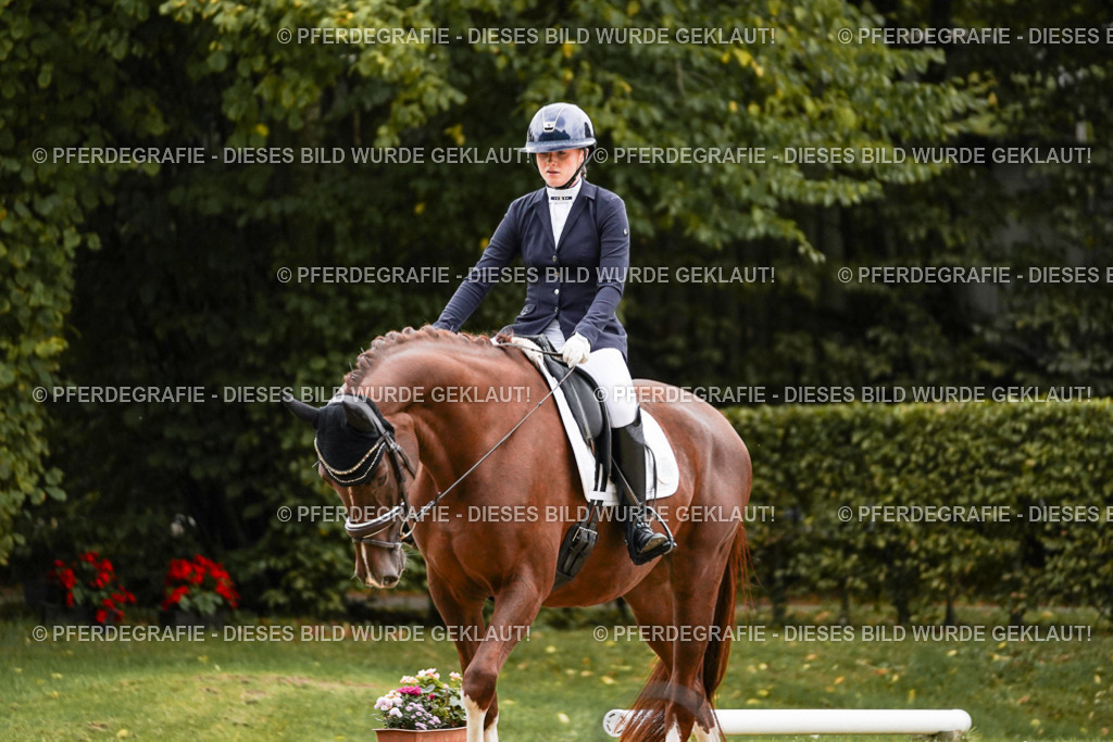 DSC06843 | Pferdegrafie