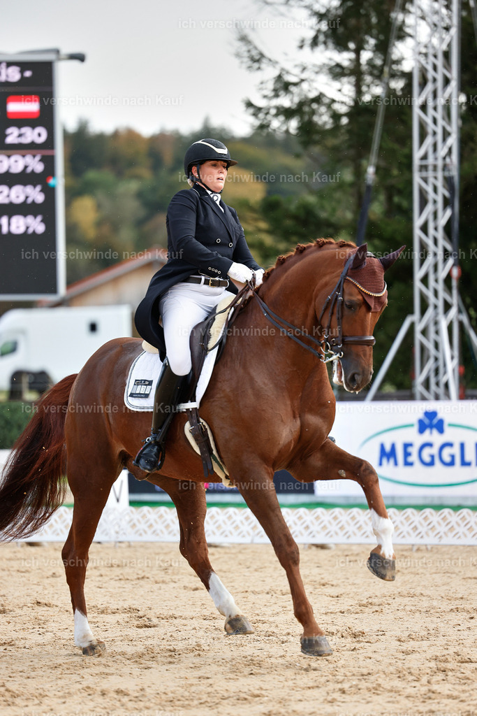10-230-ST.GEORG SPECIAL -StoibPH-3175 | working equitationturnier fotograf videograf stoibphotography marixx film working equitation deutschland reitsport turnierfotografie eventfotografie equestrian events