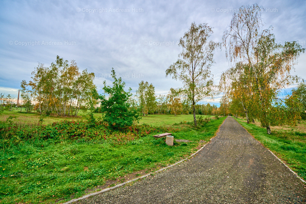ehem. Truppenübrungsplatz_ jetzt NSG _Am Spitzberg_ 04 | Bedeutsame Landschaften Deutschlands - Realisiert mit Pictrs.com