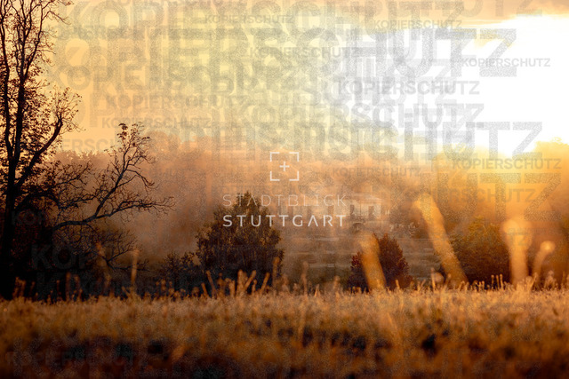 DSCF3085 | "Entdecken Sie atemberaubende Bilder von Stuttgart im Fotowerk Stuttgart! Kaufen Sie hochwertige Fotos auf Leinwand oder laden Sie digitale Downloads für Ihre Wohnung oder Büros herunter.  - Realisiert mit Pictrs.com