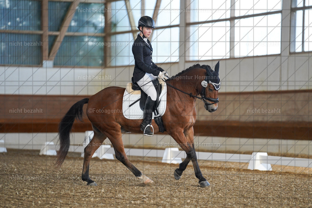 20240824-FAH06942 | Thierhaupten 2024, Bayerisches Landesponyturnier, Turnierbilder, Ponybilder, Turnierfotografen Bayern, Fotoagentur Herrmann