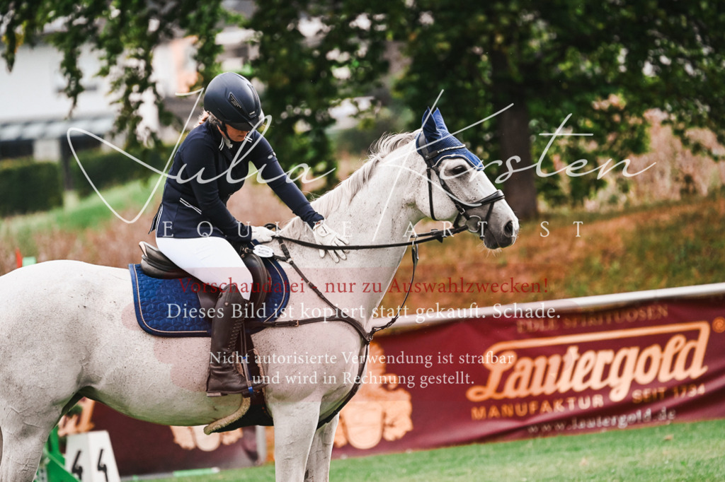 DSC_6009 | Pferde- und Turnierfotografie in Westsachsen. Pferdeportraits, Auftragszeichnungen und intuitive Kunst.