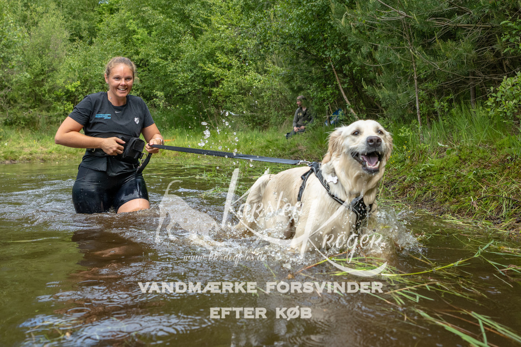 1116DKK994642 | kk-dogfotos