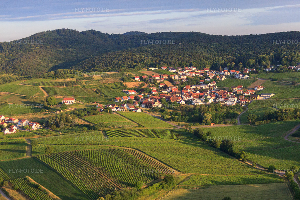 Luftbild: Winzerdorfansicht aus Osten im Ortsteil Gleiszellen in Gleiszellen-Gleishorbach im Bundesland Rheinland-Pfalz in Deutschland. Foto: IMG_67834.jpg vom 14.06.2014 durch Werner Riehm/FLY-FOTO.deAuflösung des Originals: 4752 x 3168 px