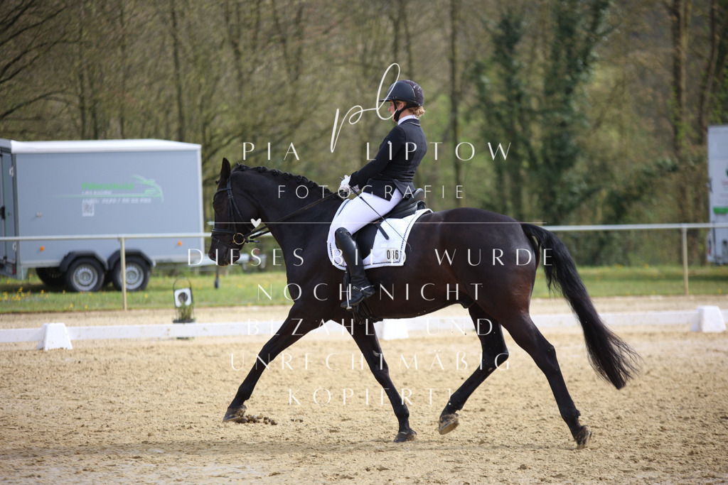 IMGT6169 | pl-fotografie