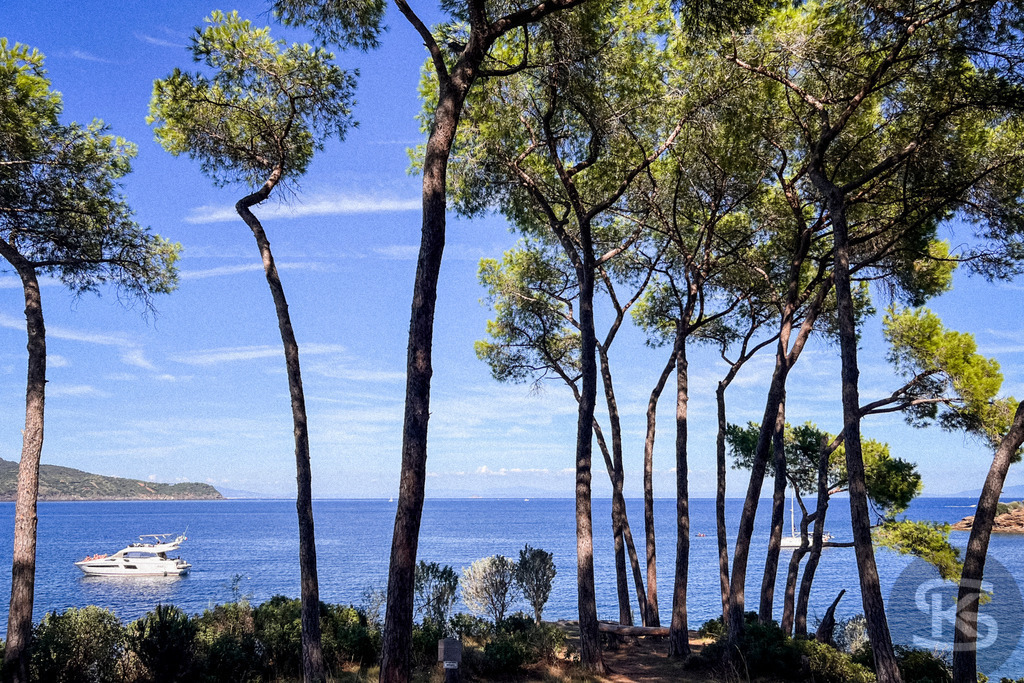 Mediterraner Küstentraum: Pinien am Meer, Spiaggia di Istia, Elba – Wandbild | Mediterrane Pinien am Ufer der Spiaggia Si Istia auf Elba, mit Blick auf das türkisblaue Meer, Küstenlandschaft und Boote im Hintergrund - Realisiert mit Pictrs.com