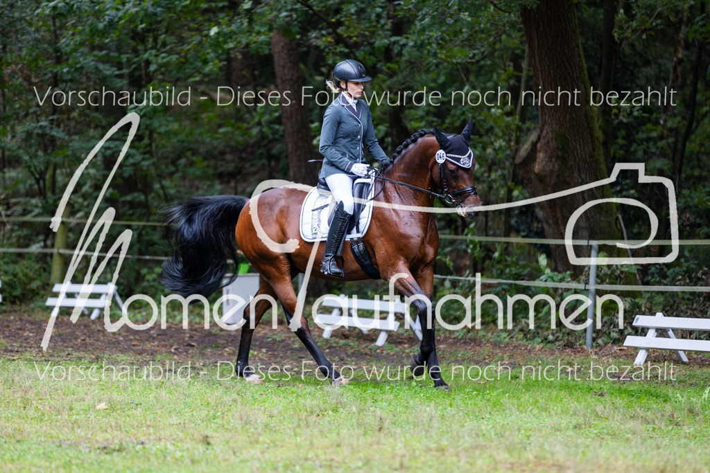 HB-A-Dressur-098 | MomenTaufnahmen Pferdesportfotos