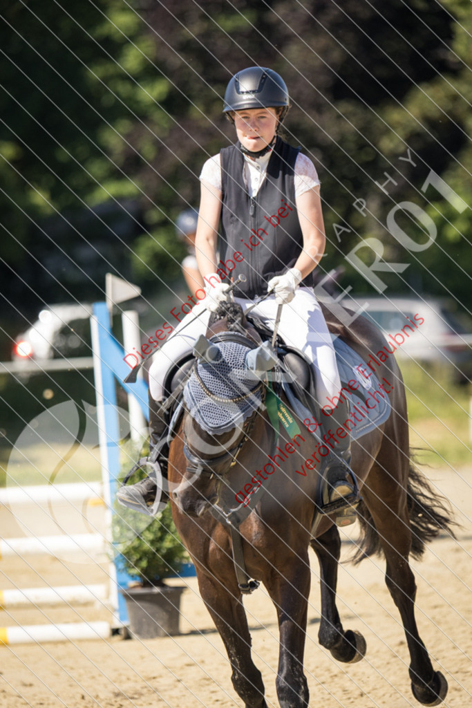 IMG_3626 | Sport-, Event- und Tierfotos in Profiqualität. Einfach auswählen, bestellen und herunterladen. Dein Moment – perfekt festgehalten.