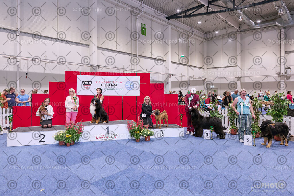 202406_ÖKV-IHA-Tulln24_NZ9_8663 | proPHOTO - Realisiert mit Pictrs.com