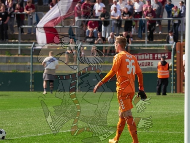 BFC Dynamo vs. ZFC Meuselwitz 161 | mythos-online-redaktion