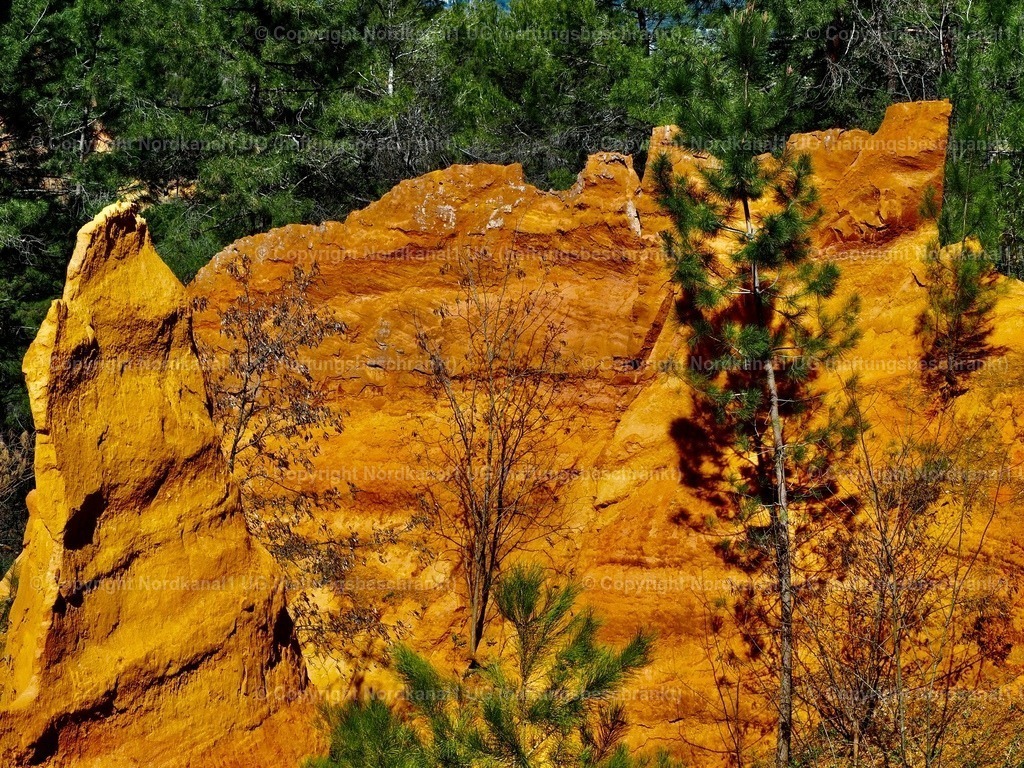 IMG_2978 | OLYMPUS DIGITAL CAMERA          - Realisiert mit Pictrs.com