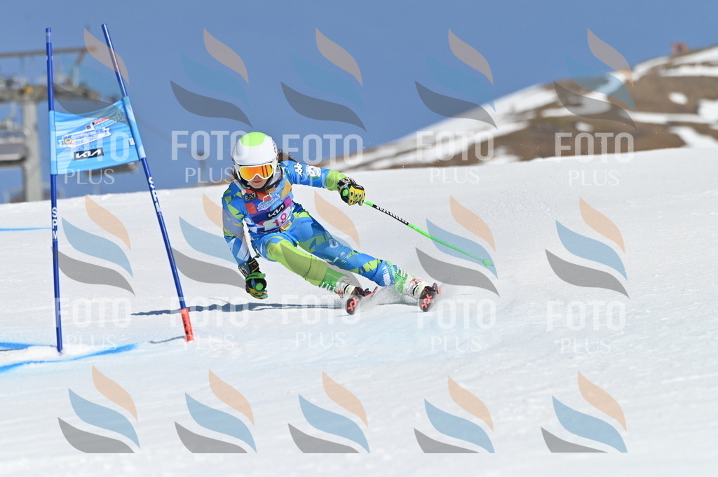 BGV_7914 | holidayphoto