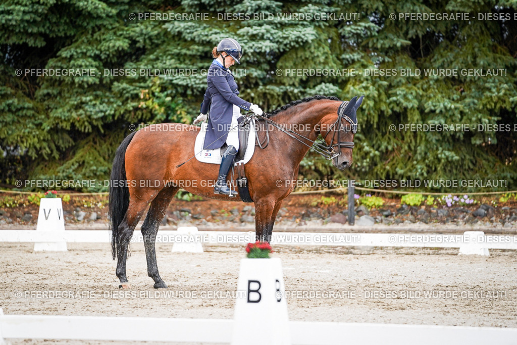 DSC00148 | Pferdegrafie