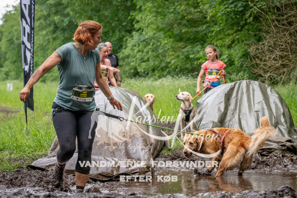 1530_ZZ93881 | kk-dogfotos
