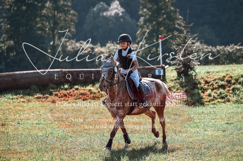 DSC_0699 | Pferde- und Turnierfotografie in Westsachsen. Pferdeportraits, Auftragszeichnungen und intuitive Kunst.