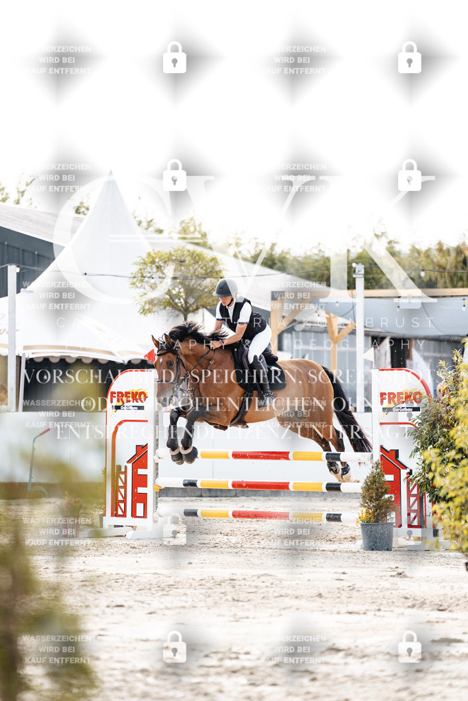 CK906831 | Turnierfotografie Pferdefotografie Trier Rheinland-Pfalz Pferdesport Reitsport Tierfotografie Sportfotografie Pferdevideo Pferdevideografie Equestrianvideography equestrianphotography  - Realisiert mit Pictrs.com