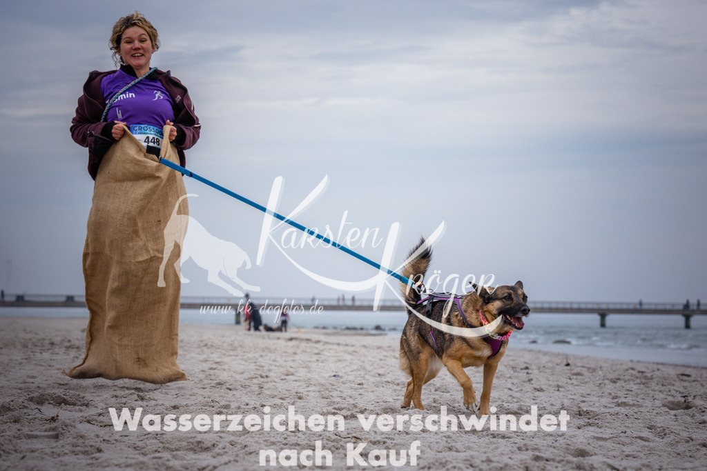 1223_ZZ93880 | kk-dogfotos