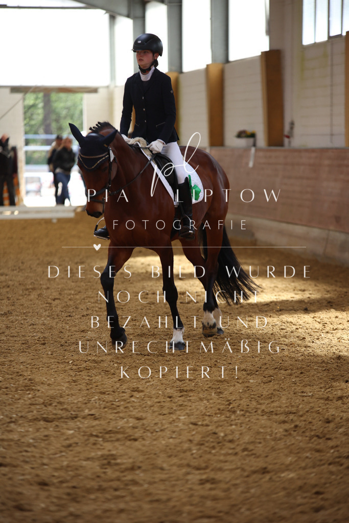 IMGT4242 | pl-fotografie