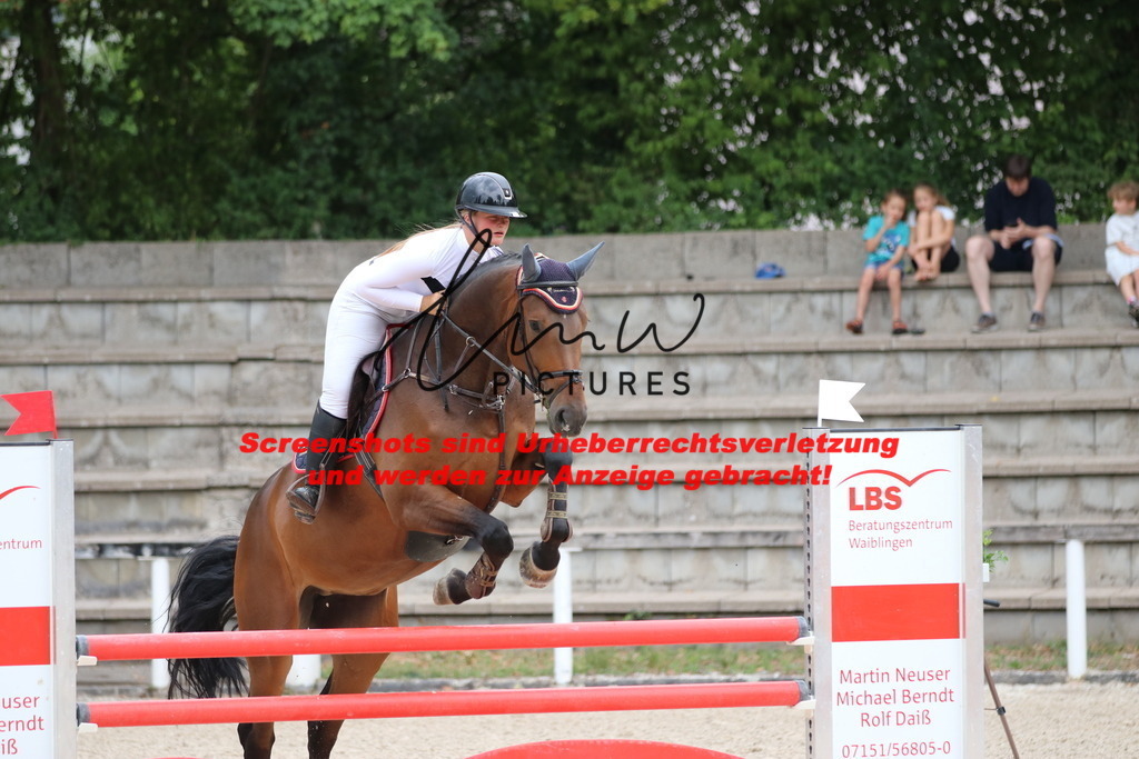 IMG_7826 | lmwpictures - Realisiert mit Pictrs.com