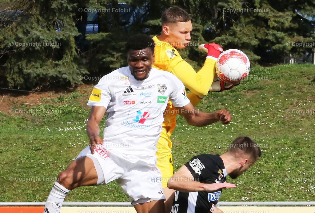 A_LUI_300325-02 | SPORT FUSSBALL ADMIRAL BUNDESLIAG RZ PELLETS WAC-SK STURM GRAZ  30.03.2025 IM BILD : CHIBUIKE NWAIWU  (WAC) UND KJELL SCHERPEN (SKSTURM)´FOTO:FOTOLUI/MW