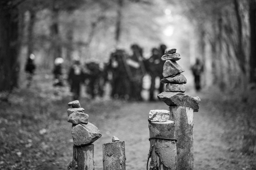 Hambacher Forst | Hambi, Hambacher Forst 2018 - Realisiert mit Pictrs.com