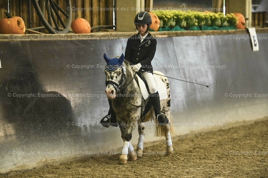 20231029_02_Reiter-WB_Schritt-Trab-Galopp_Abteilung-01_0065 | Foto: Thomas Hartig