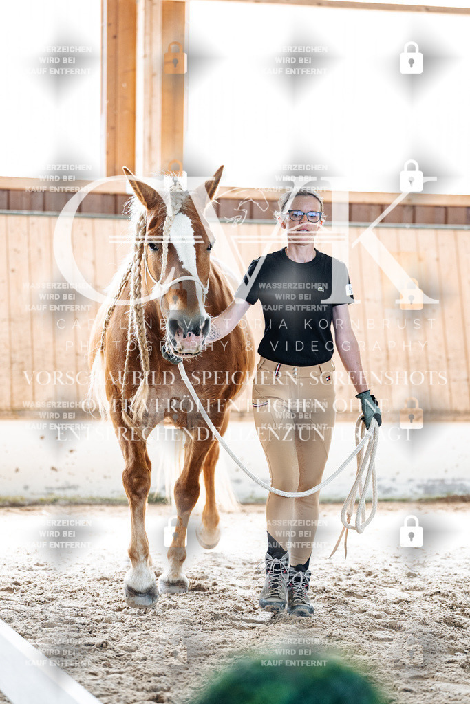 CK906715 | Turnierfotografie Pferdefotografie Trier Rheinland-Pfalz Pferdesport Reitsport Tierfotografie Sportfotografie Pferdevideo Pferdevideografie Equestrianvideography equestrianphotography  - Realisiert mit Pictrs.com