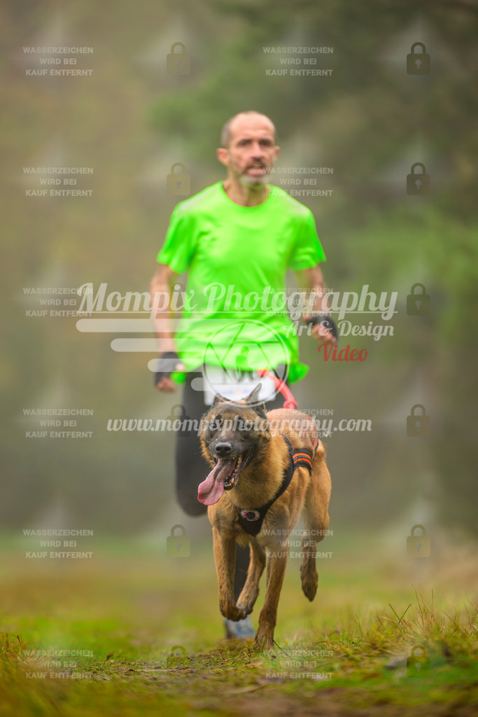 MompixPhotography_Bischwiller2025_Canicross-149 | mompixphotography