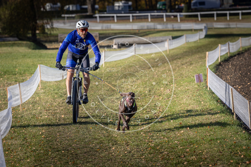 CaniXpix_DV3A3458 | Hundefotografie, Tierfotograf, Pfotenfotografie, Fotoshooting Hund, Hunde Portrait, Hundesport, Hundeportraits, Heideshooting, Hunde, Sportfotograf, Hundefotograf, Turnierhundsport, THS,  - Realisiert mit Pictrs.com