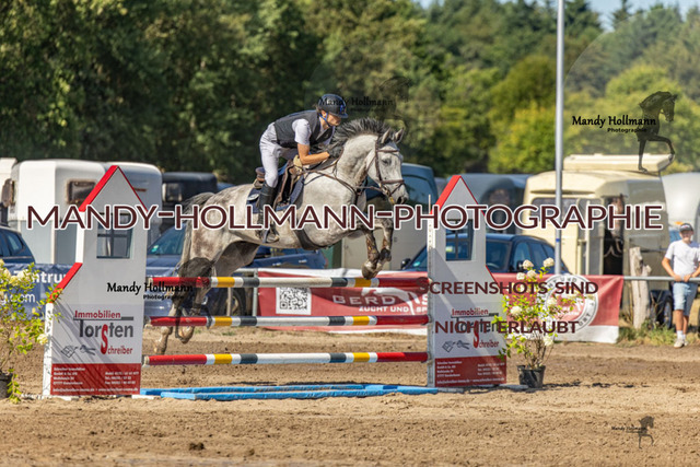 26-8-9 SPR L-74 | mandyhollmannphotographie
