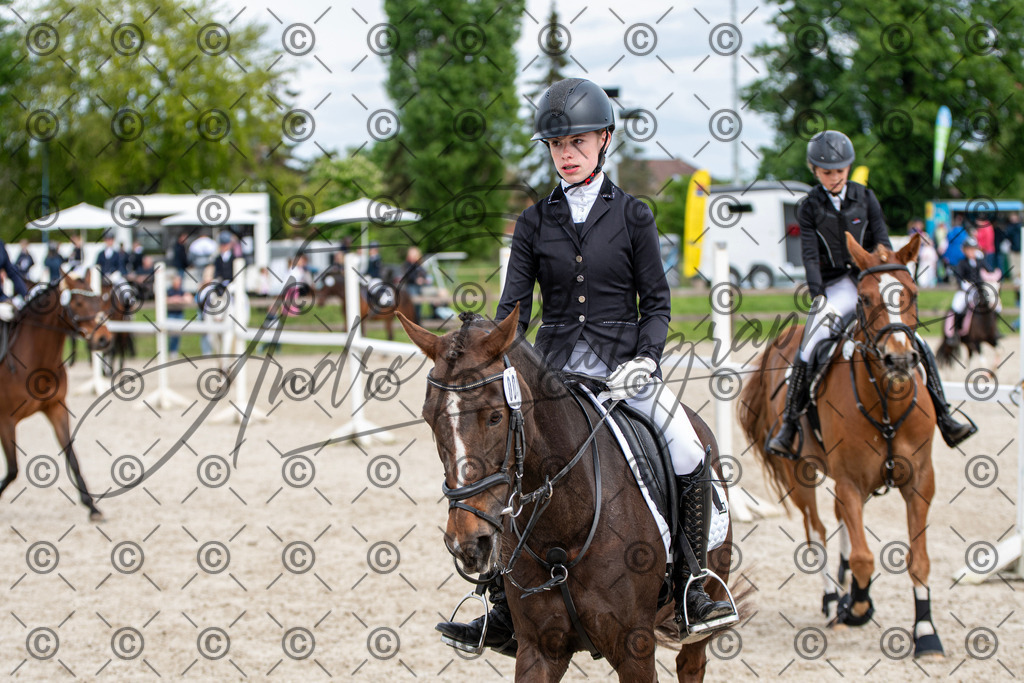 KPT_6008 | andre_photographic