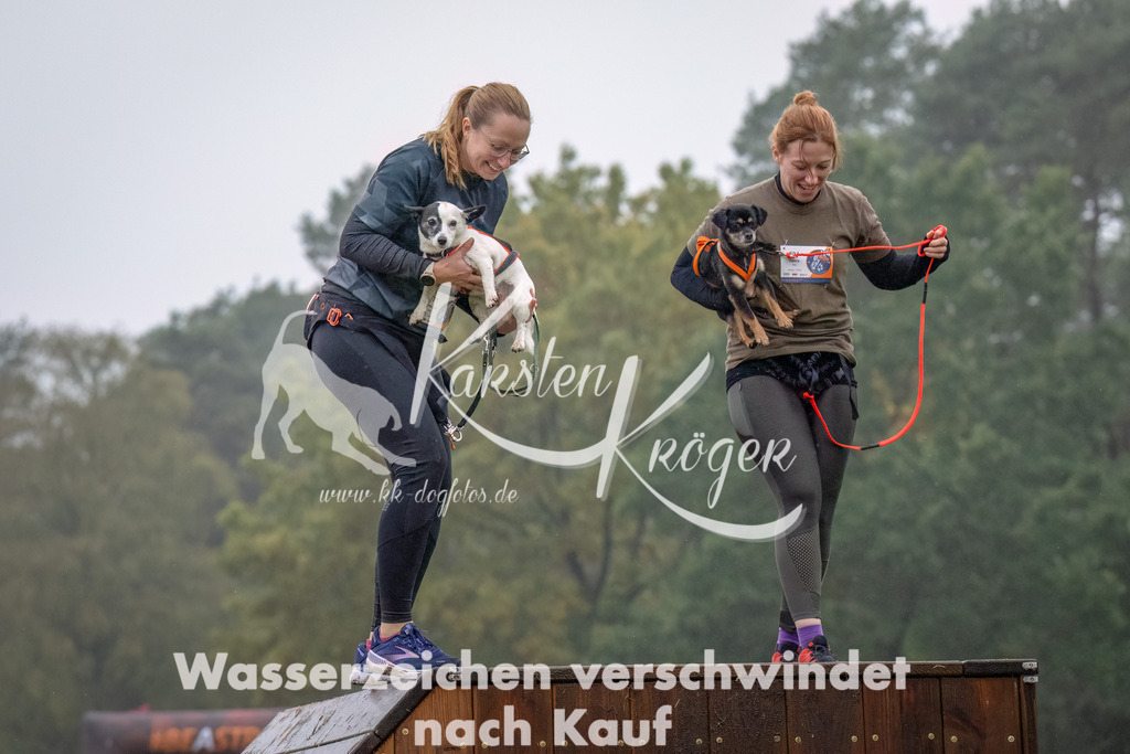 1251--2 | kk-dogfotos