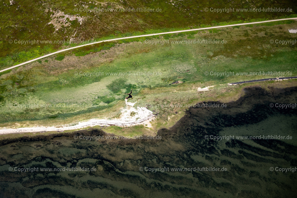 Sylt_Rantum_Wattseite_ELS_9354210625 | RANTUM (SYLT) 21.06.2025 Meeres- Wasseroberfläche Ostseite Wattenmeer in Rantum (Sylt) im Bundesland Schleswig-Holstein, Deutschland. // Sea water surface east side of the Wadden Sea in Rantum (Sylt) in the federal state of Schleswig-Holstein, Germany. Foto: Martin Elsen