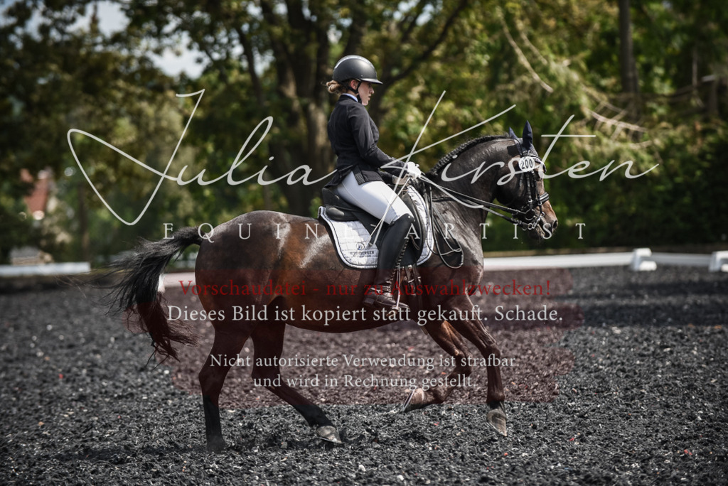 DSC_5113 | Pferde- und Turnierfotografie in Westsachsen. Pferdeportraits, Auftragszeichnungen und intuitive Kunst.
