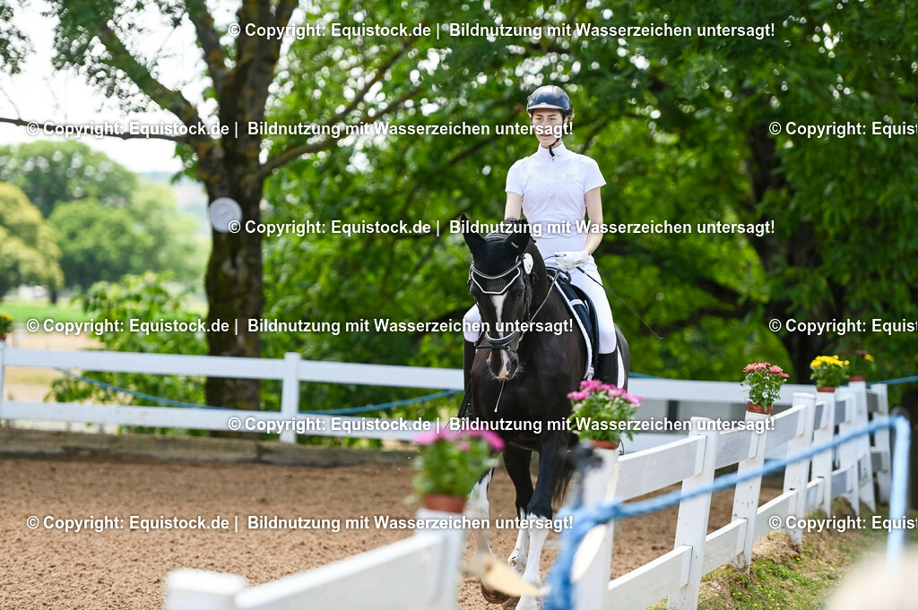 20230716_03_Dressurprfg. Kl.L - Tr._0021 | equistock