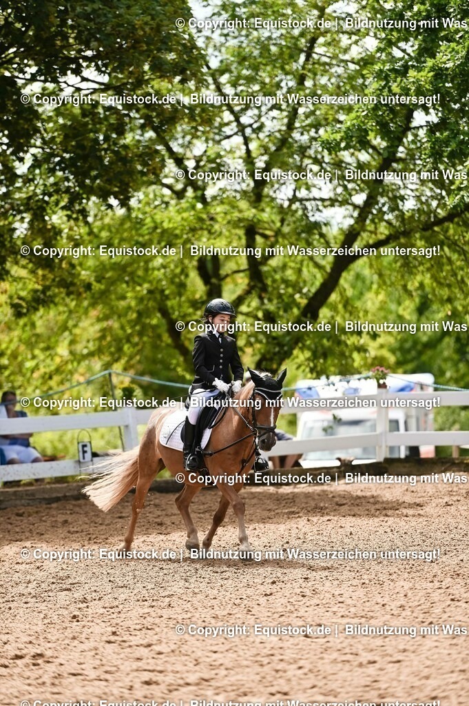 20230716_10-3_Reiter-WB Schritt - Trab - Galopp_0160 | equistock