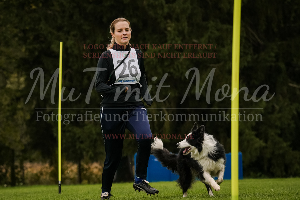 20251005_THS_Turnier-402 | MuT (Mensch und Tier) mit Mona - Fotografie und Tierkommunikation - Realisiert mit Pictrs.com