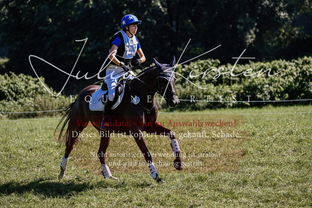 DSC_1709 | Pferde- und Turnierfotografie in Westsachsen. Pferdeportraits, Auftragszeichnungen und intuitive Kunst.